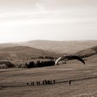 Fliegen ist Freiheit