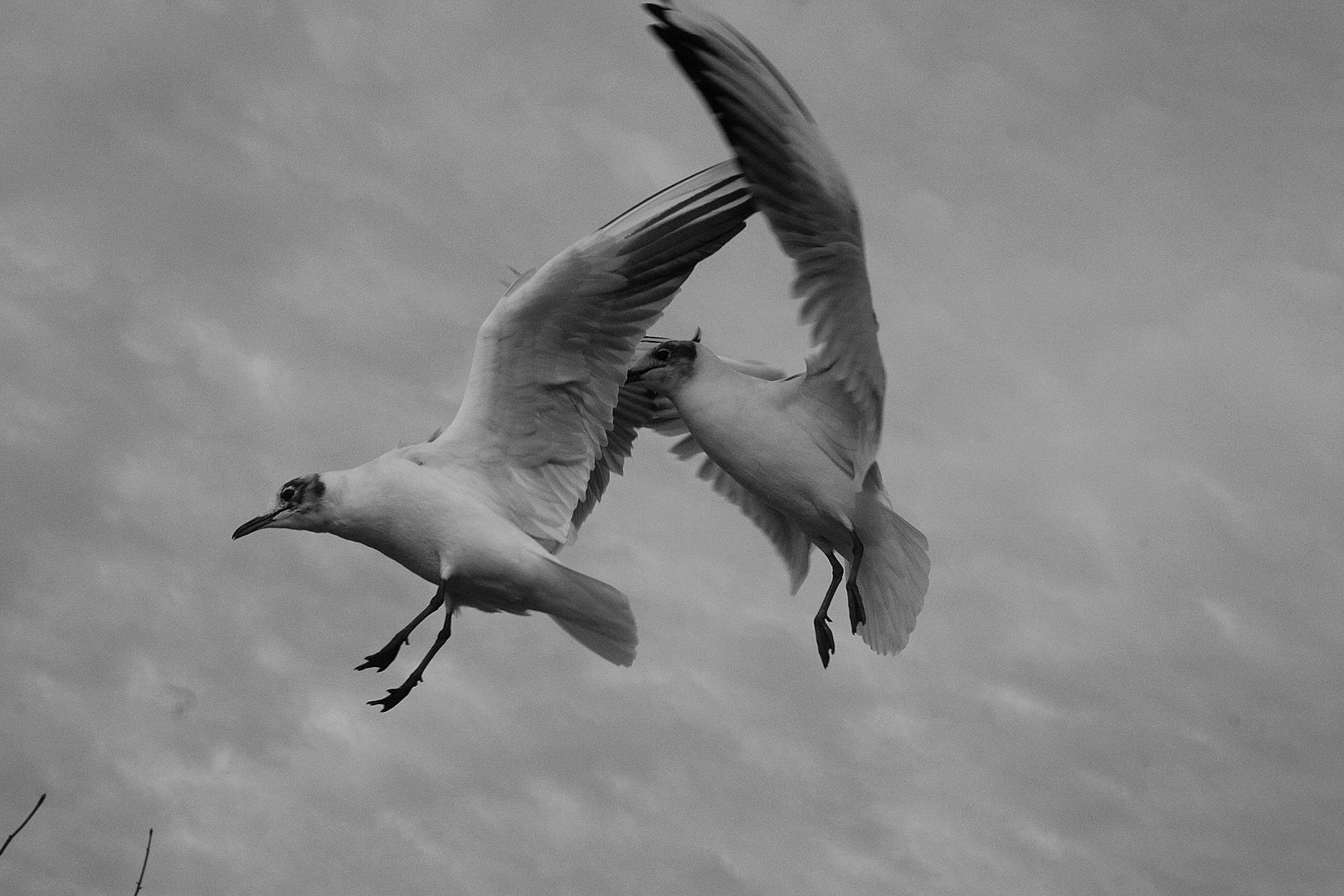 Fliegen ist schön...