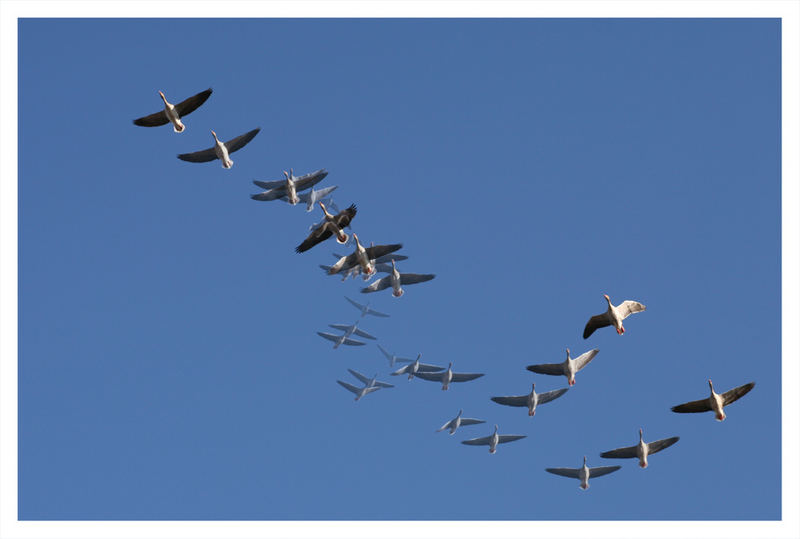 Fliegen ist schön!