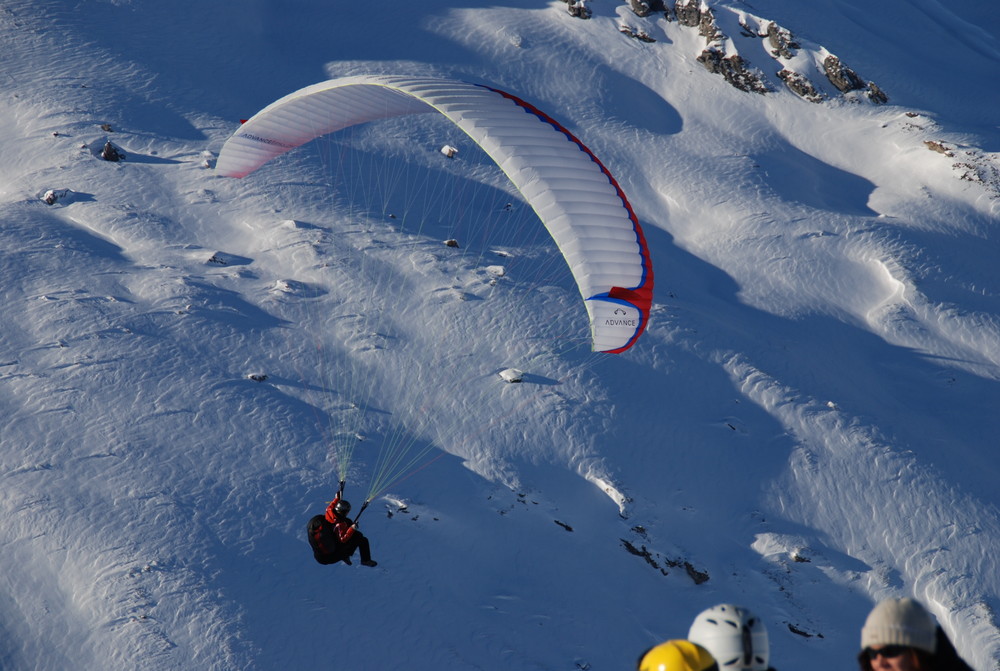 fliegen ist schön