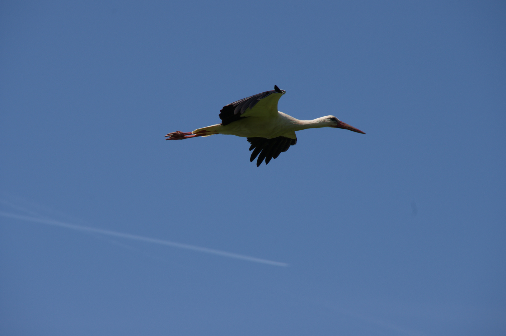 Fliegen ist so schön!