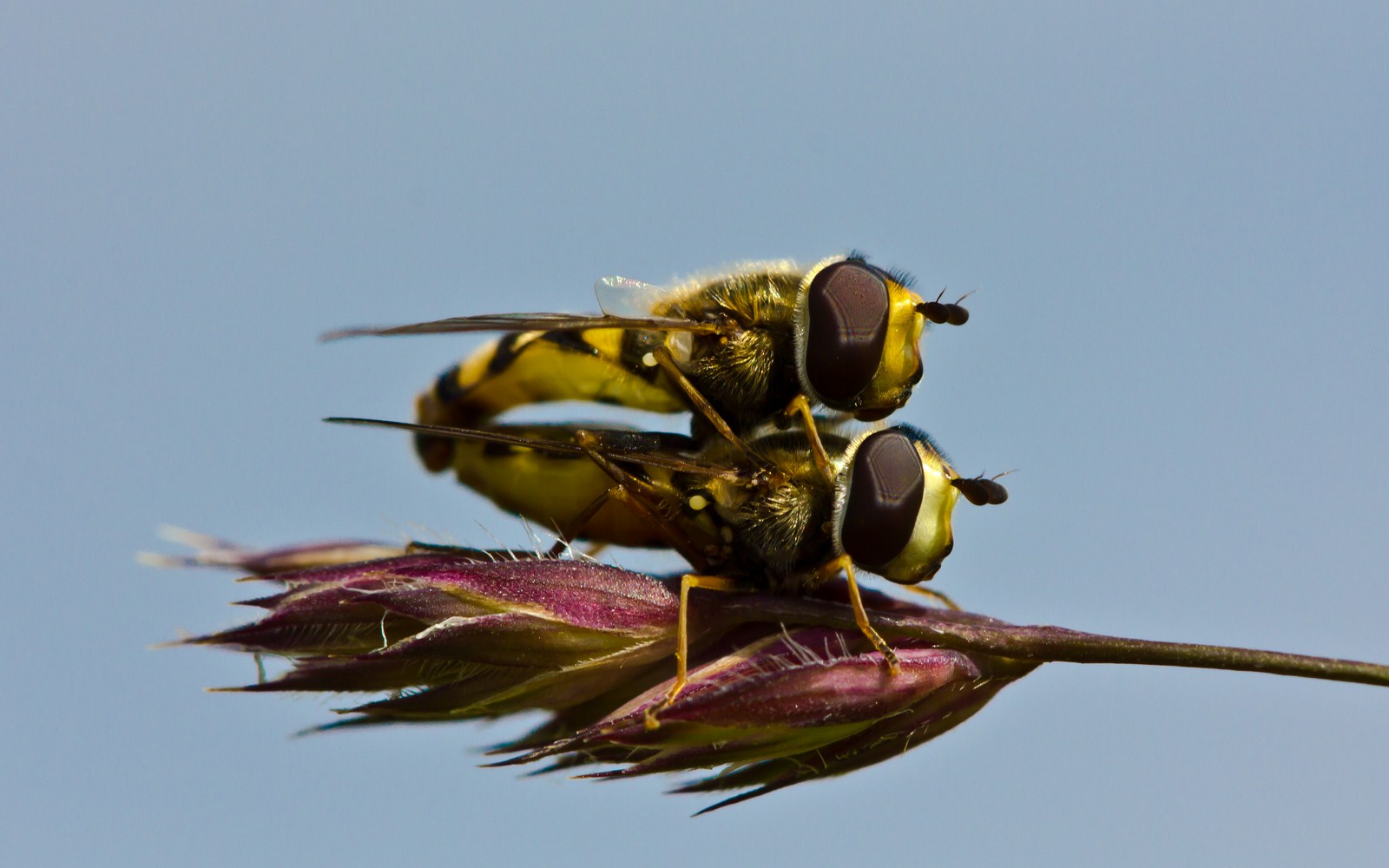 fliegen kann so schön sein