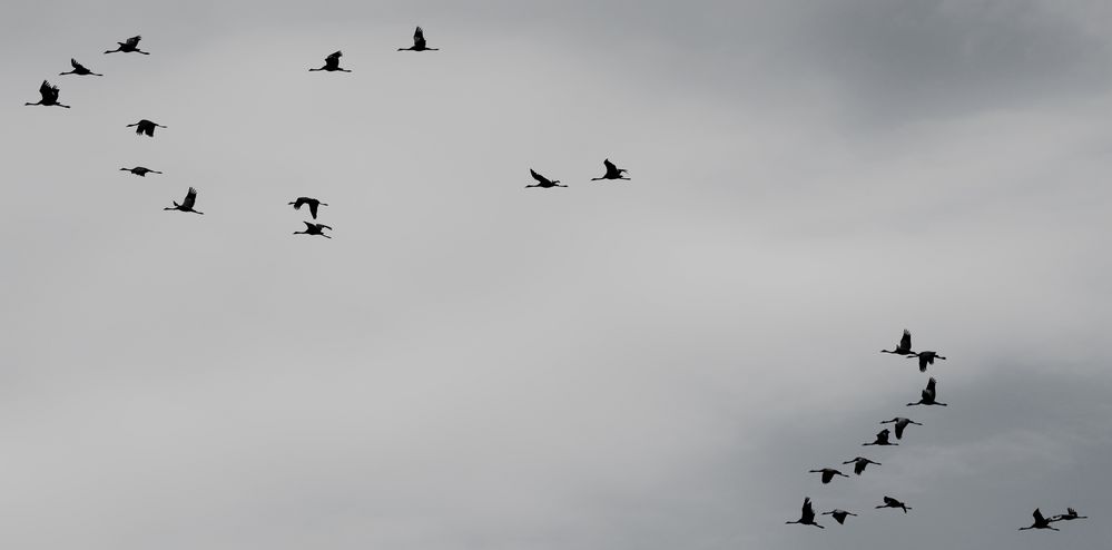 fliegen müsste man können ..