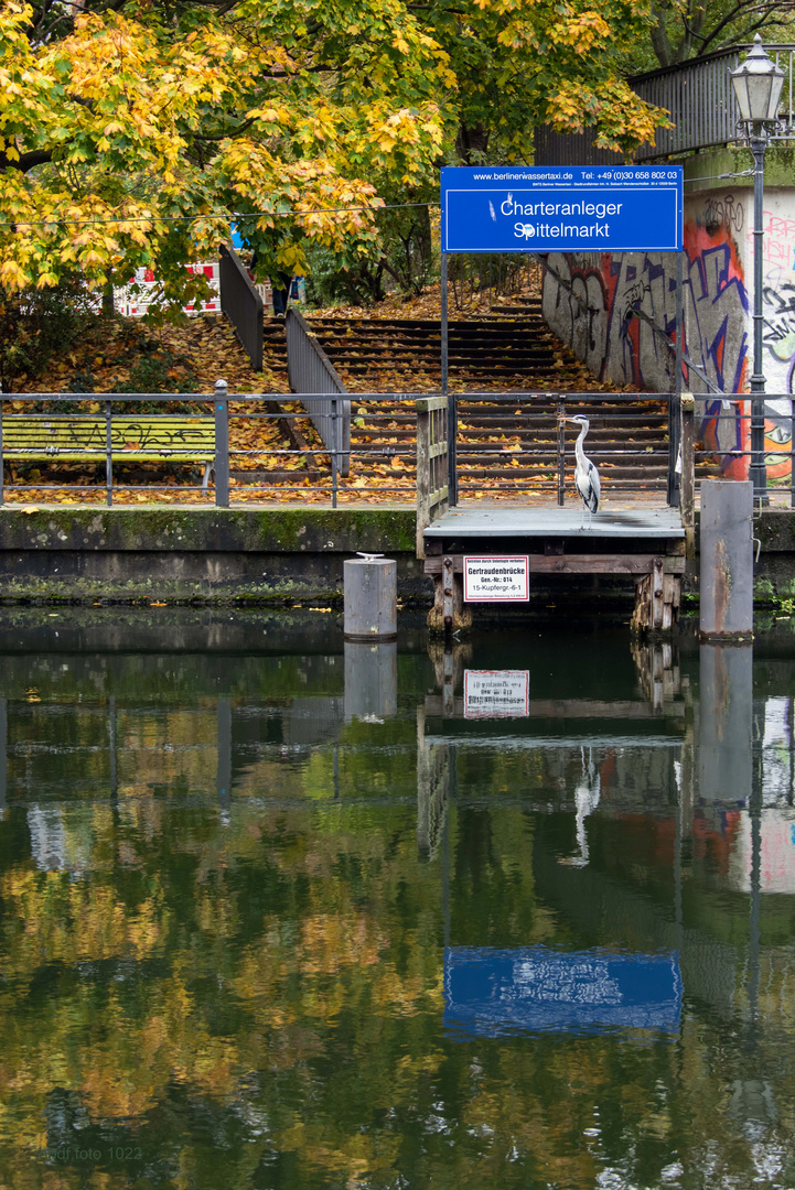 fliegen oder auf ein Boot warten?