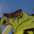 Fliegen oder über das Hochseil gehen?