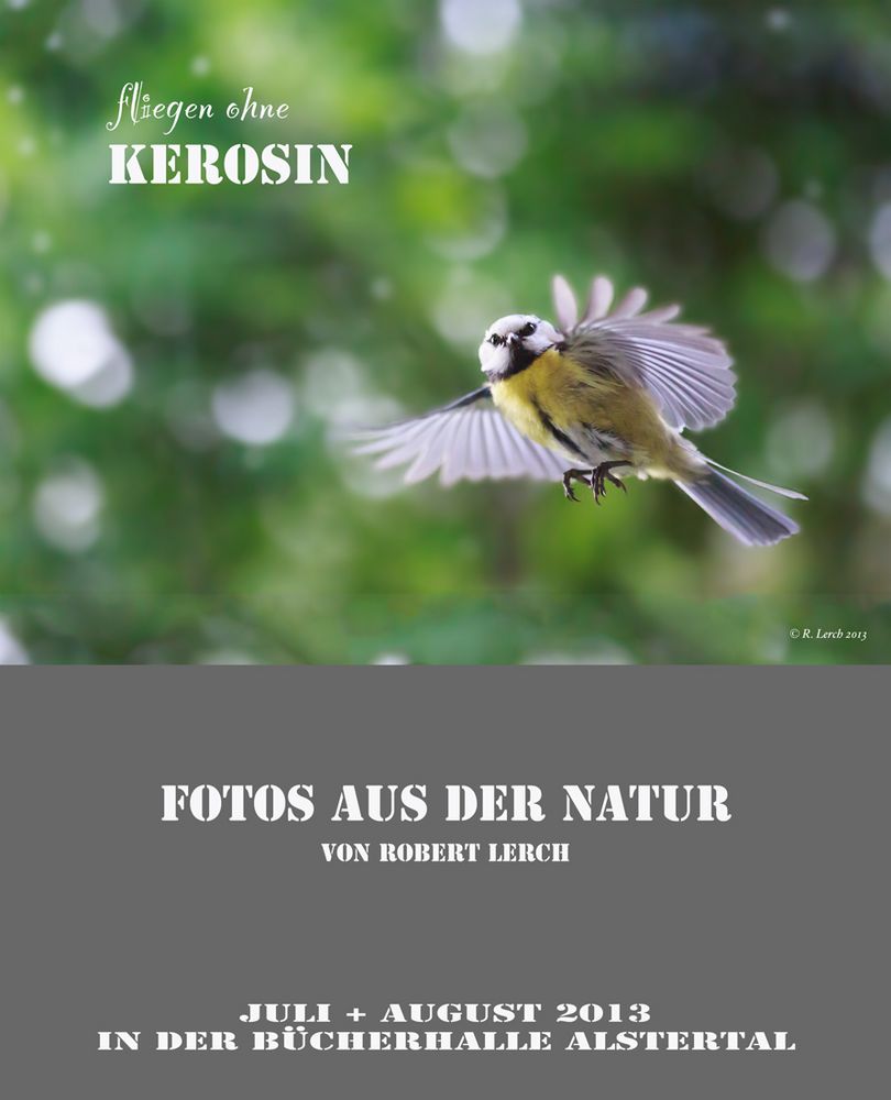 fliegen ohne Kerosin