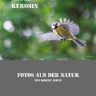 fliegen ohne Kerosin