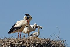 Fliegen üben