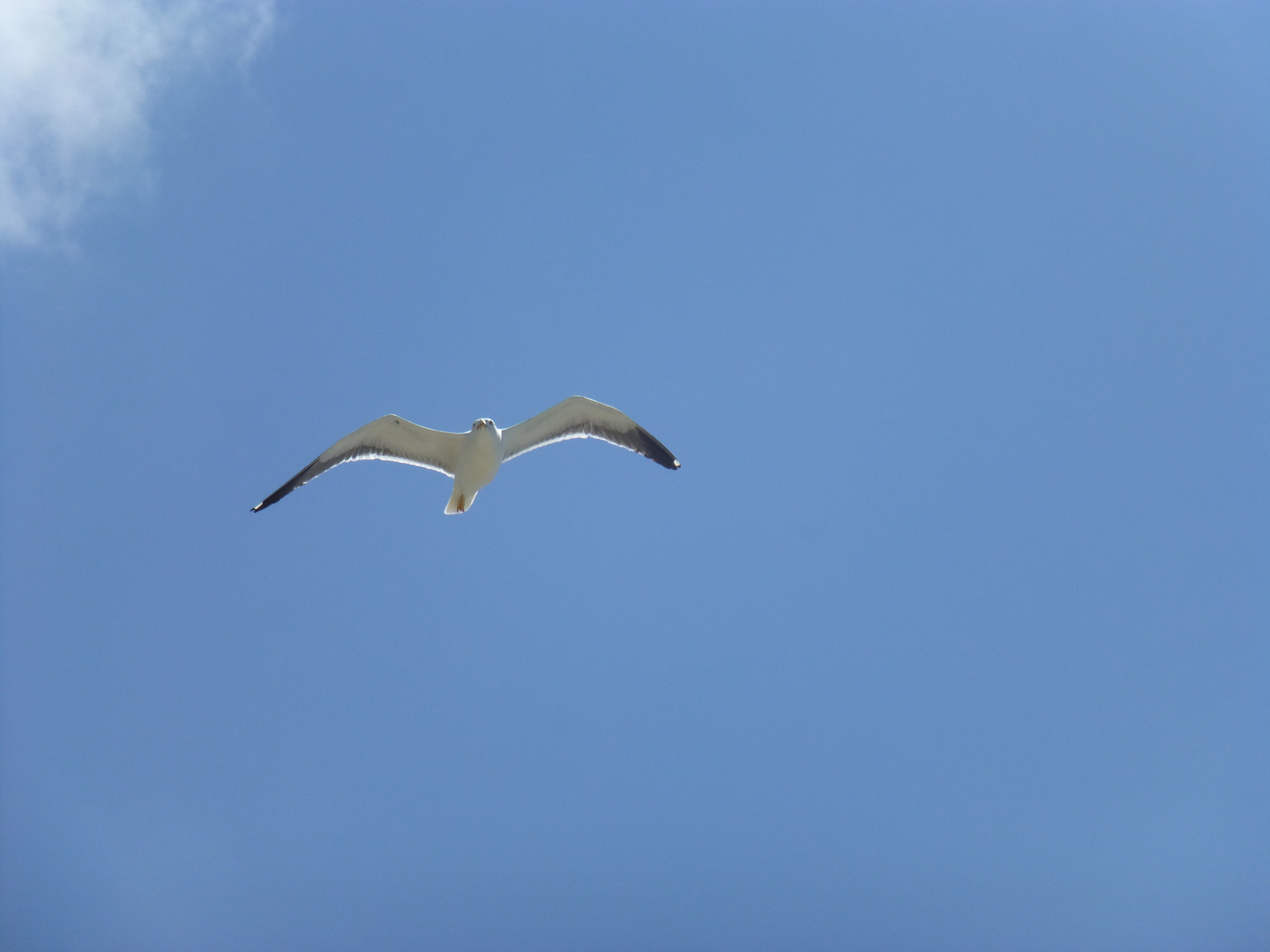 Fliegen wie schön