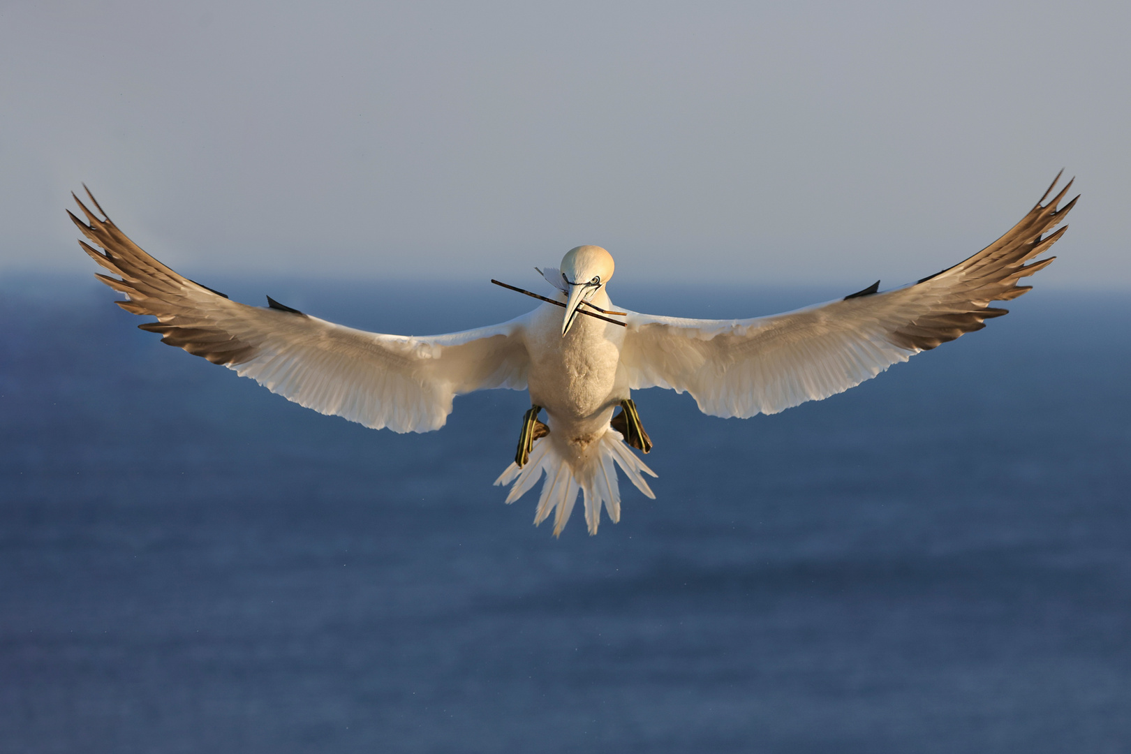 Fliegen wir ins WE