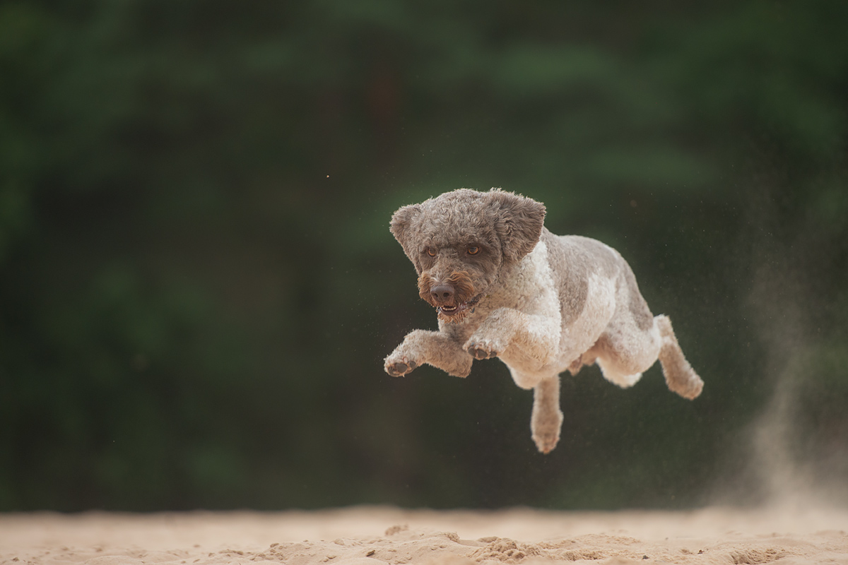 fliegen wir ins WOCHENENDE!