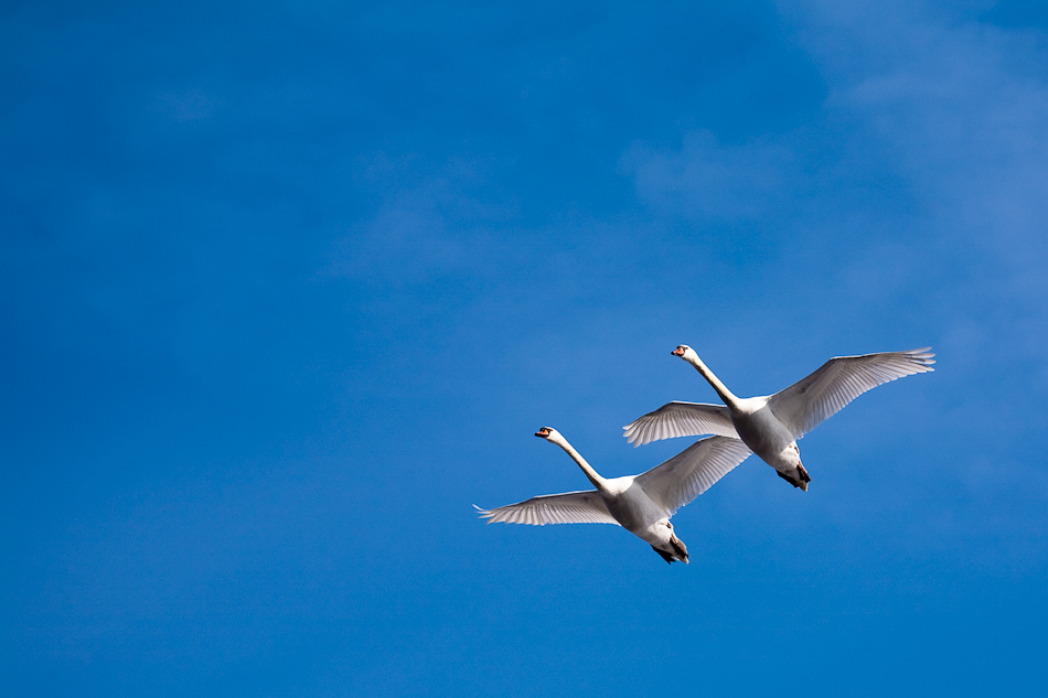 Fliegen wir zu dir oder zu mir?