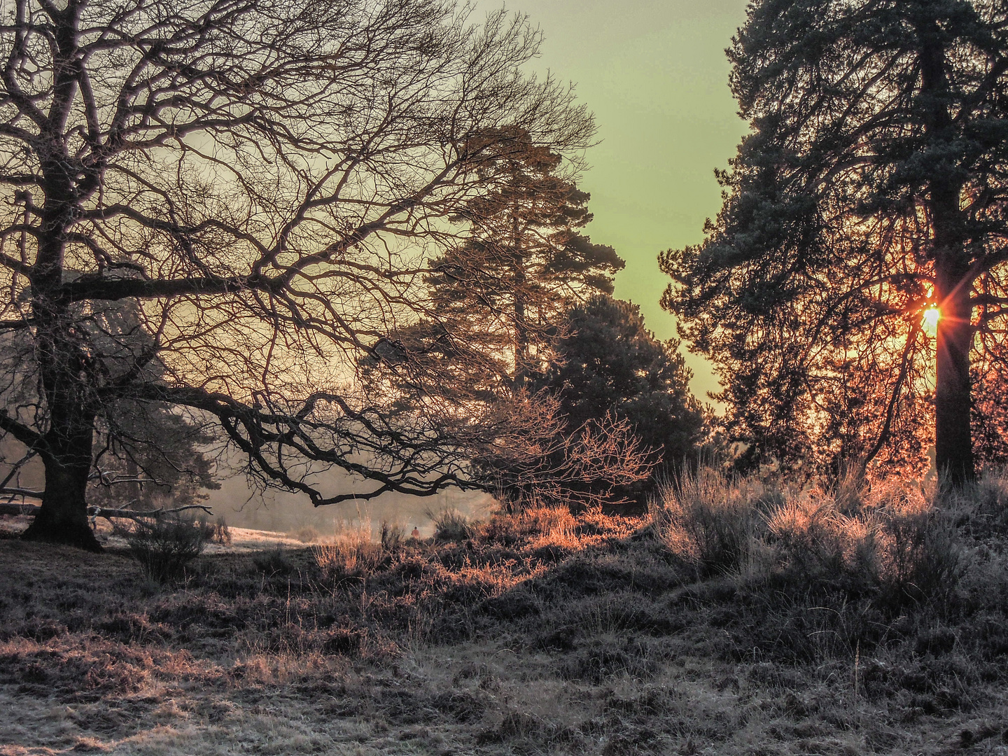 Fliegenberg Heide