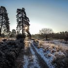 Fliegenberg Heide