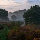 Fliegenberg Heide