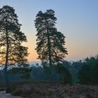 Fliegenberg Heide