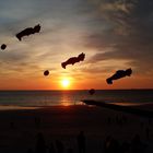 Fliegende Bären im Sonnenuntergang auf Norderney