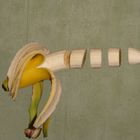 Fliegende Banane