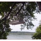 Fliegende Betten auf der Mainau