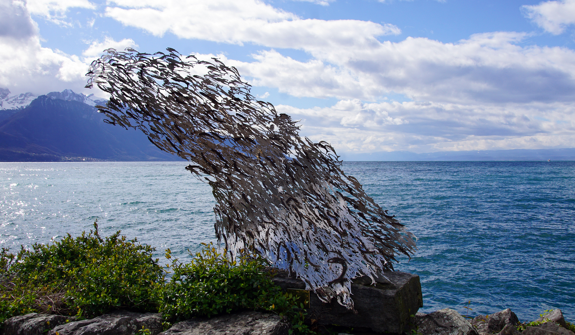 Fliegende Fische am Quai de Fleur