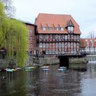 Fliegende Fische über der Ilmenau