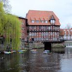 Fliegende Fische über der Ilmenau