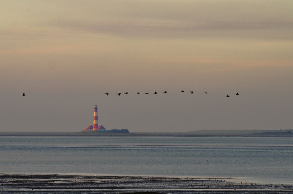 Fliegende Gänse vor Westerhever von sanni w 