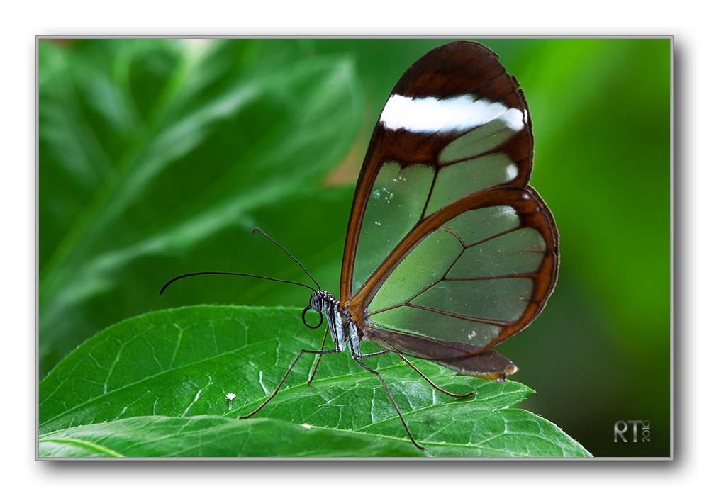 Fliegende Glasbausteine