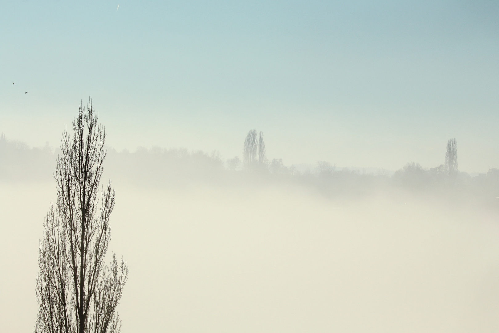 fliegende Landschaft