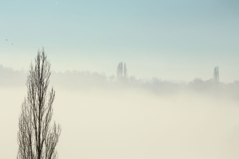 fliegende Landschaft