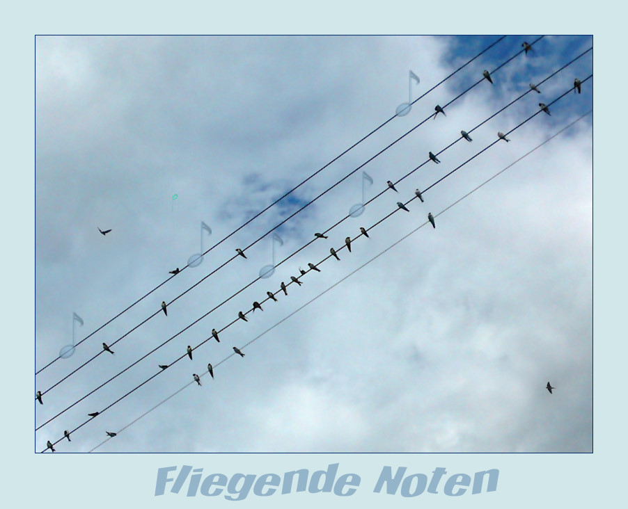 | Fliegende Noten |