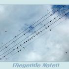 | Fliegende Noten |