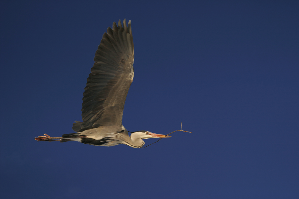 "Fliegender Bauarbeiter"