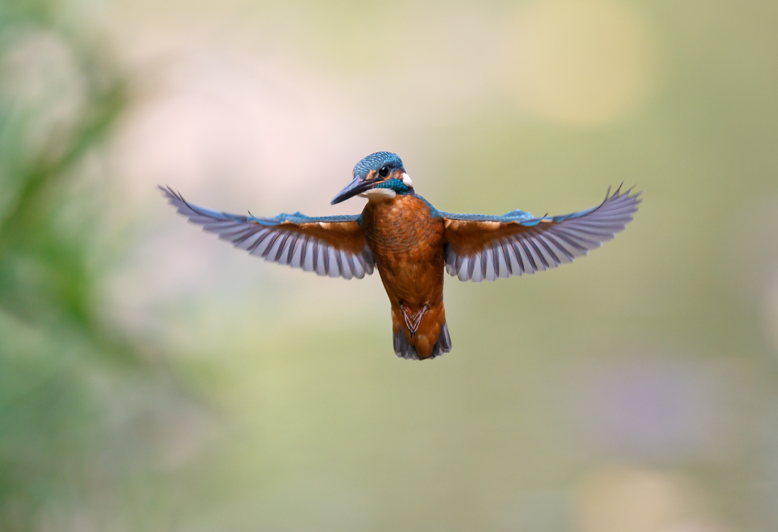 Fliegender Diamant