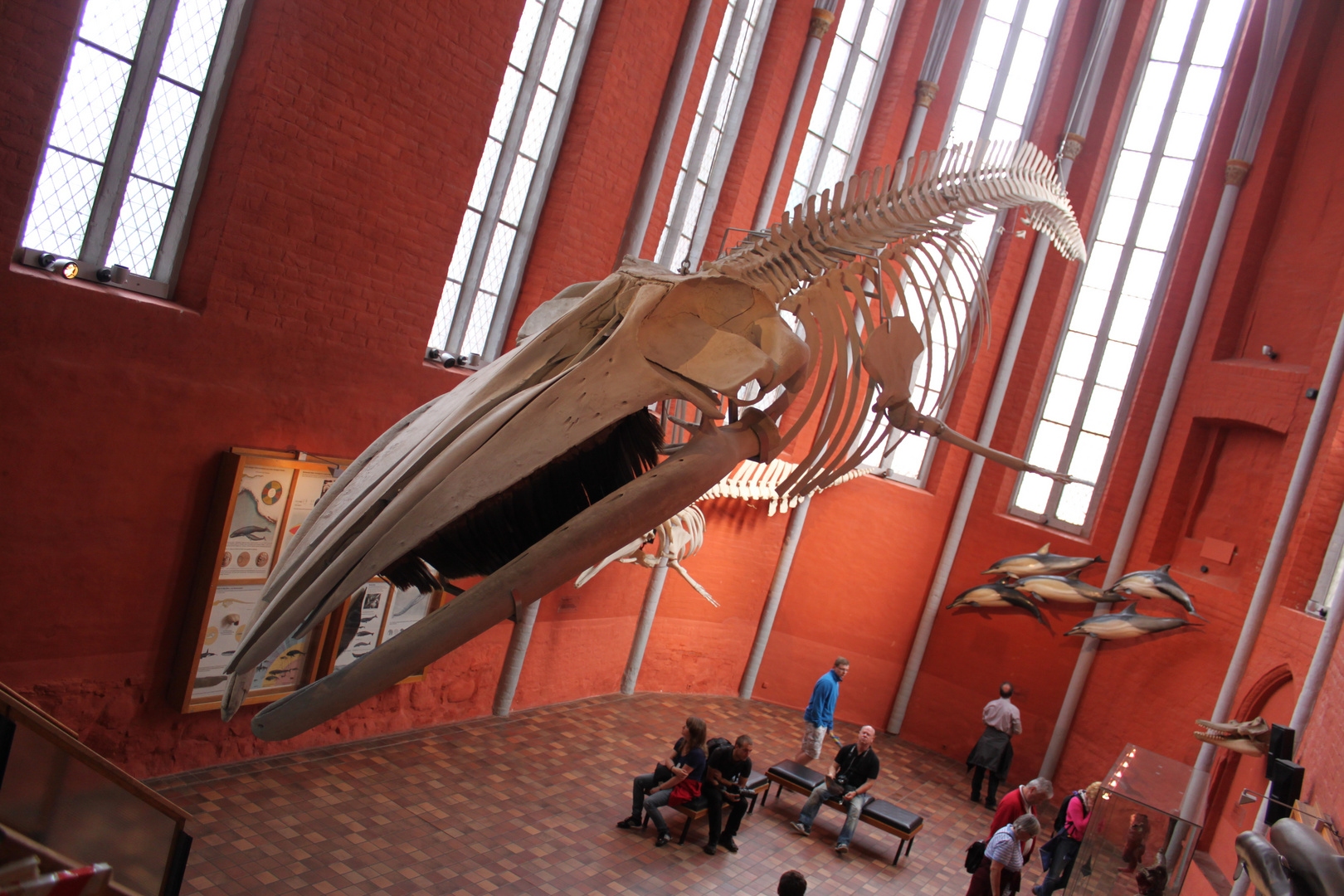 Fliegender Dinosaurier im Kirchenschiff