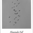 Fliegender Fall - fallender Flug