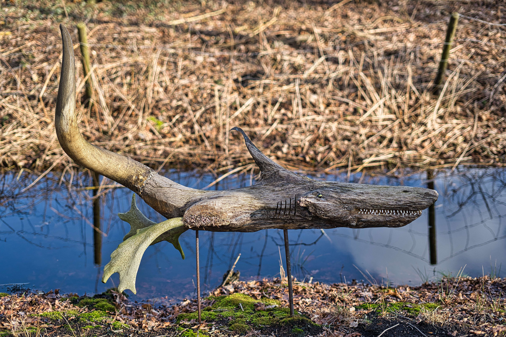 Fliegender Fisch