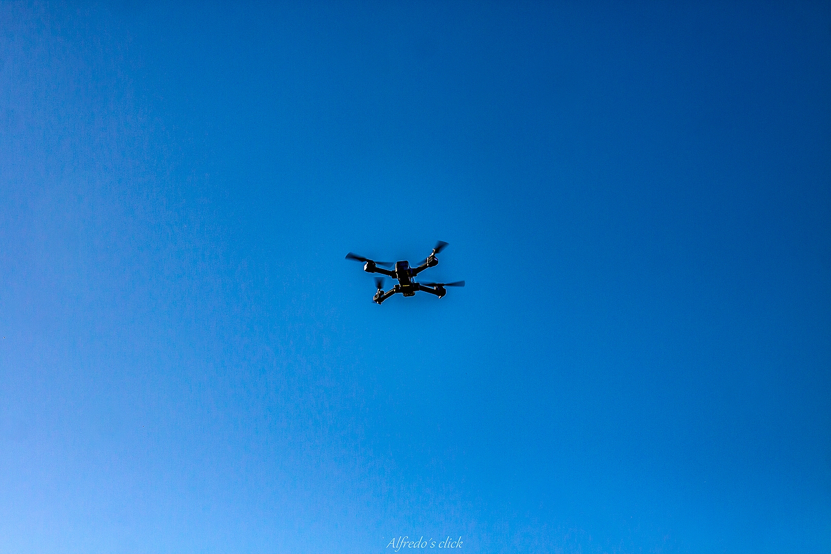 Fliegender Fokus im Fokus **