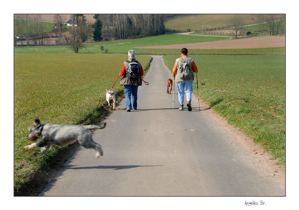 Fliegender Hund ....