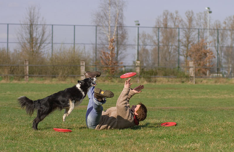 Fliegender Hund I