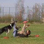 Fliegender Hund I