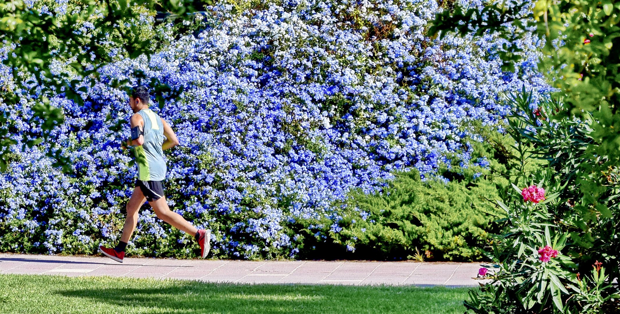 Fliegender Jogger