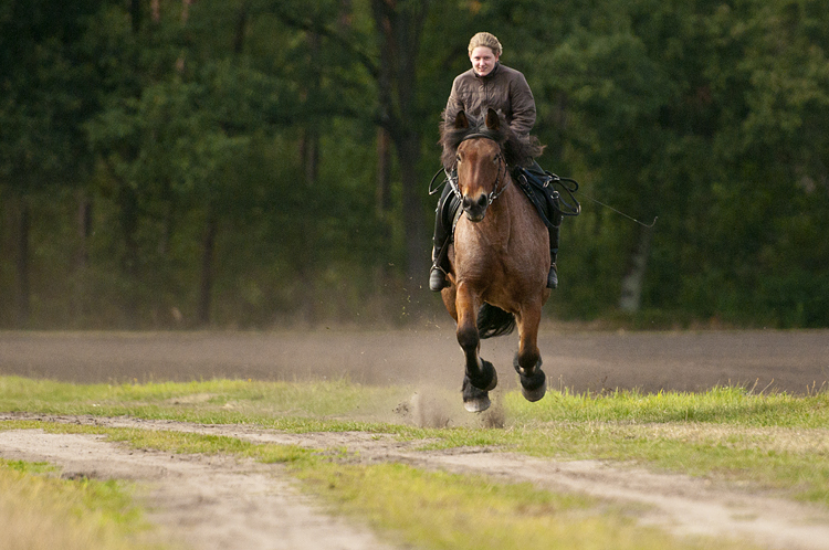 Fliegender Kalti