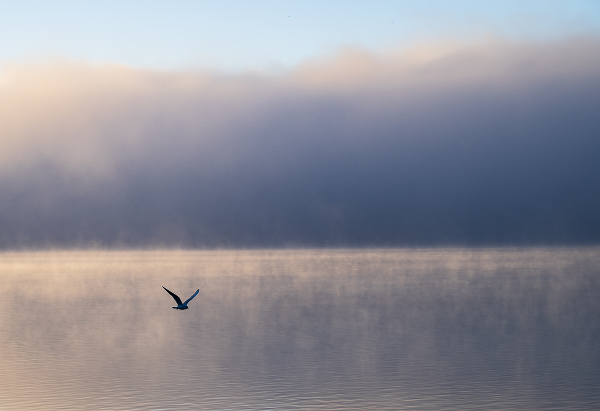 Fliegender Minimalismus