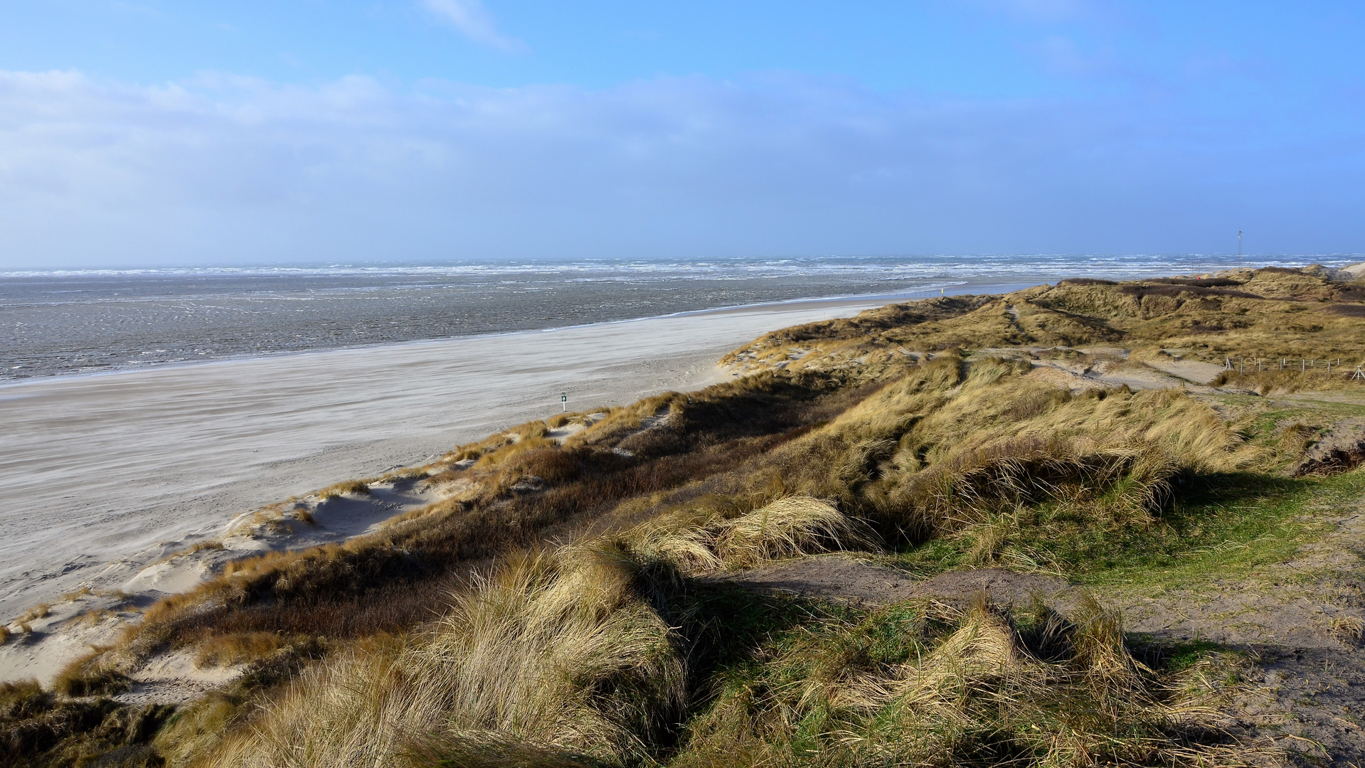 Fliegender Sand am Strand