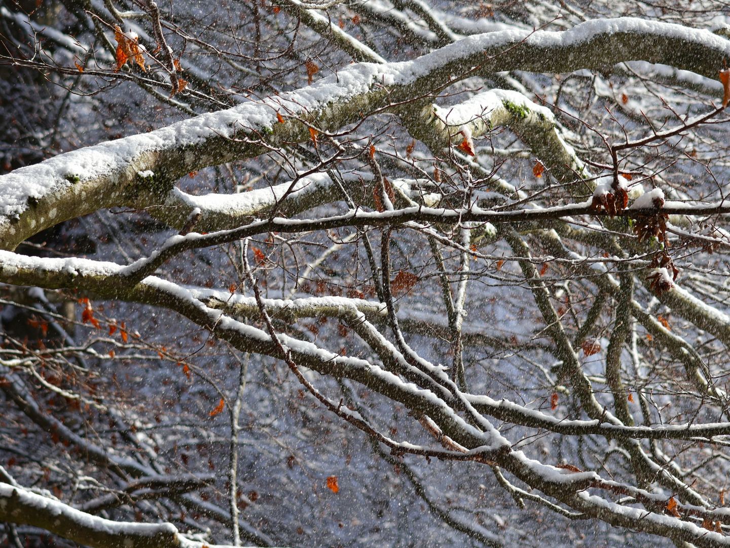 Fliegender Schnee