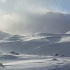 fliegender Schnee im Gegenlicht