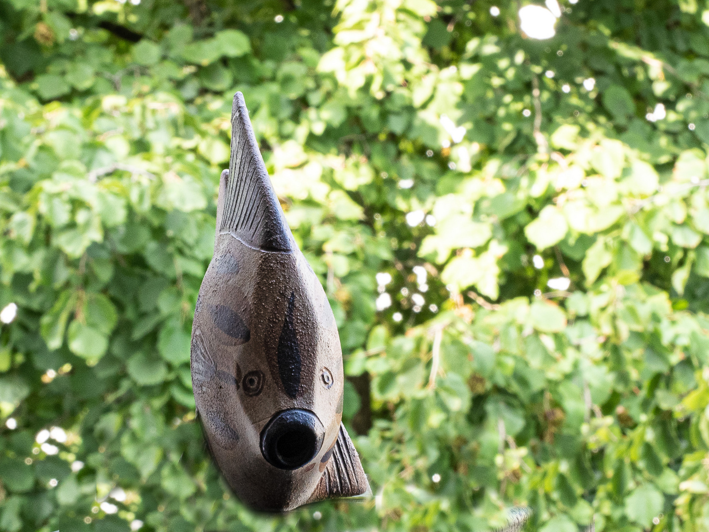 Fliegender Stein Butt