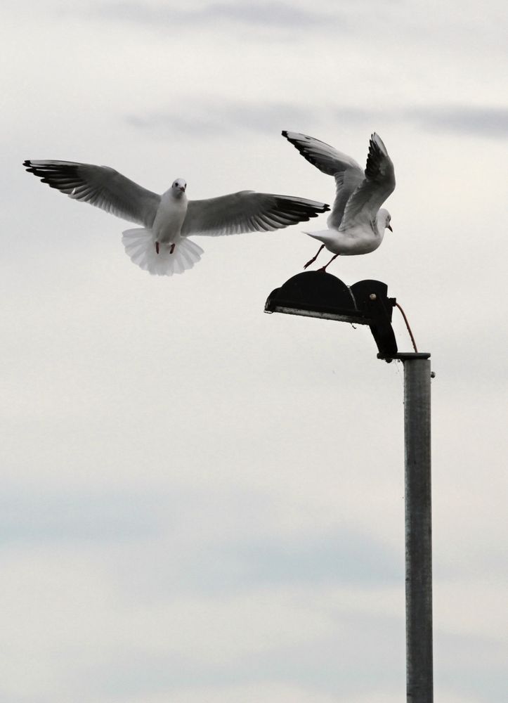 Fliegender Wechsel