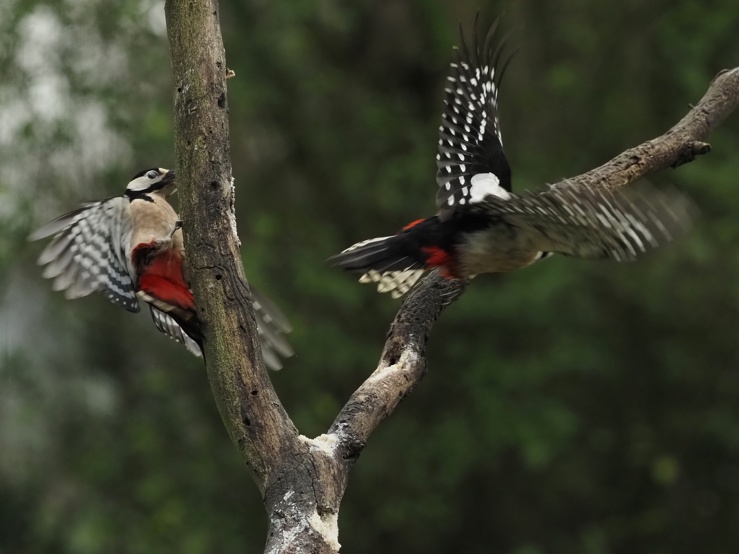 "Fliegender Wechsel"